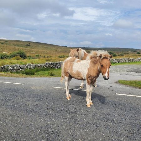 Dartmoor Reach Alpaca Farm Heated Cabins 5 Mins Drive To Dartmoor بوفي تريسي المظهر الخارجي الصورة