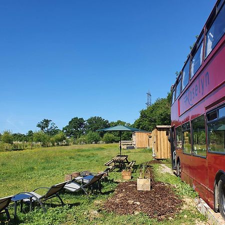 Dartmoor Reach Alpaca Farm Heated Cabins 5 Mins Drive To Dartmoor بوفي تريسي المظهر الخارجي الصورة