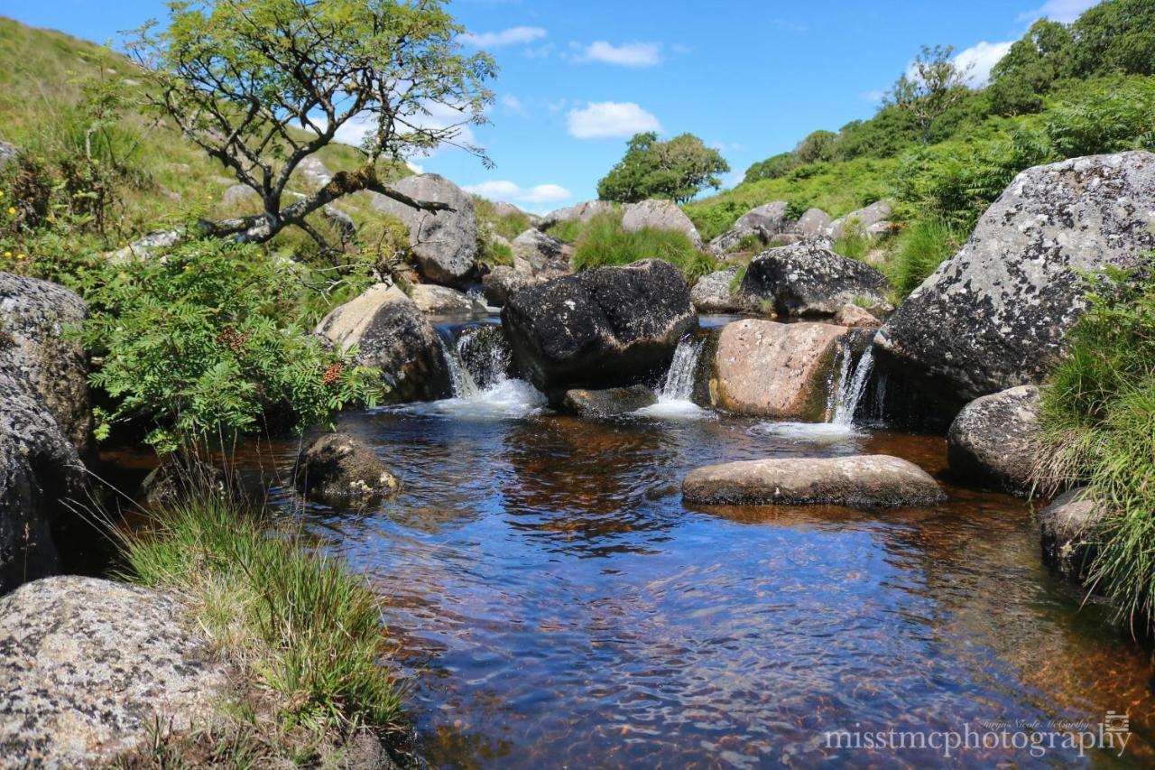 Dartmoor Reach Alpaca Farm Heated Cabins 5 Mins Drive To Dartmoor بوفي تريسي المظهر الخارجي الصورة