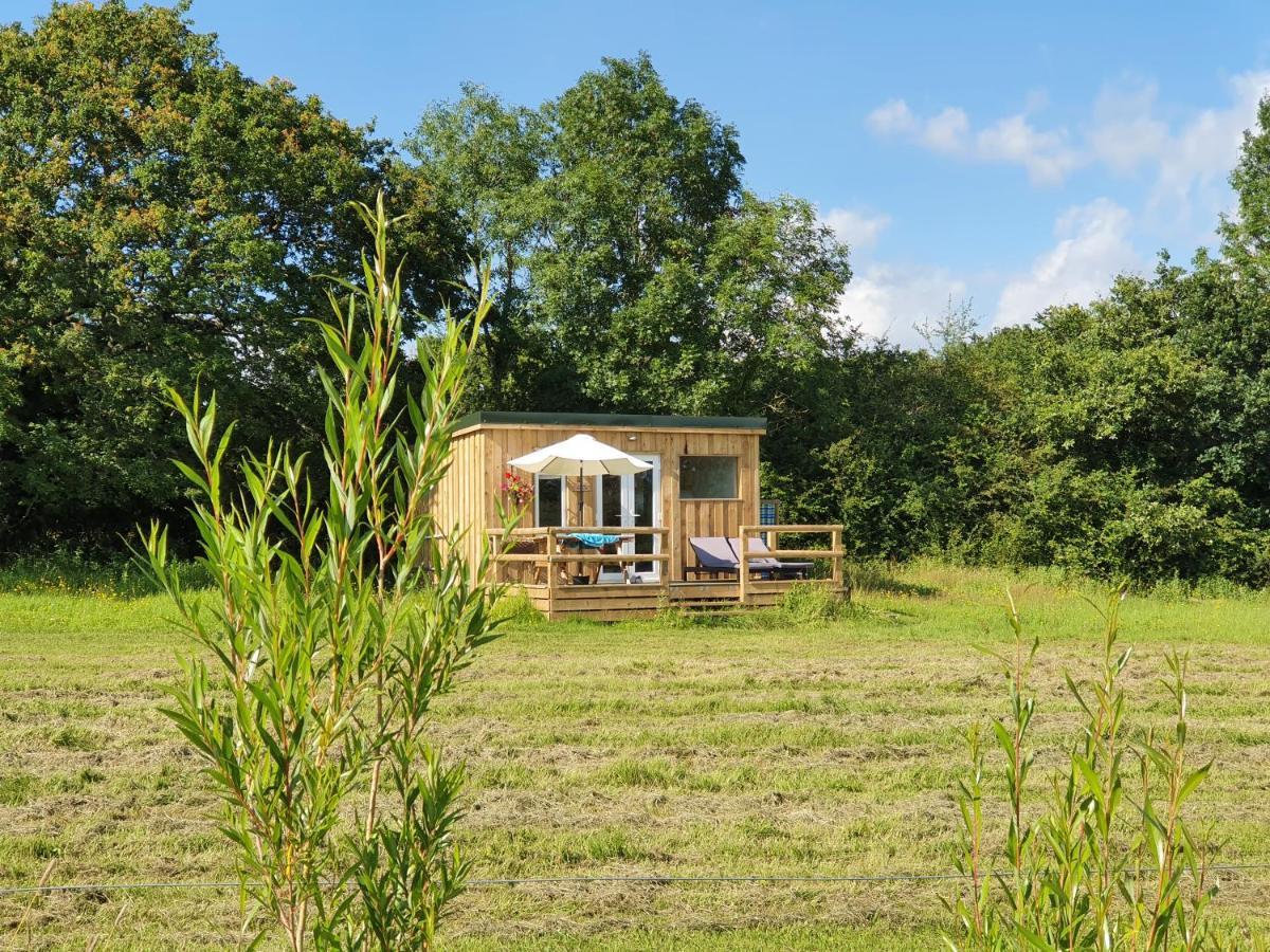 Dartmoor Reach Alpaca Farm Heated Cabins 5 Mins Drive To Dartmoor بوفي تريسي المظهر الخارجي الصورة