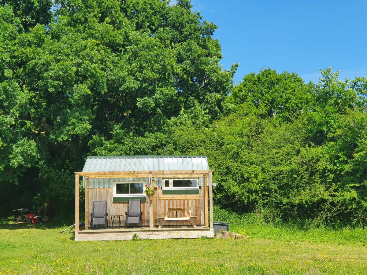 Dartmoor Reach Alpaca Farm Heated Cabins 5 Mins Drive To Dartmoor بوفي تريسي المظهر الخارجي الصورة