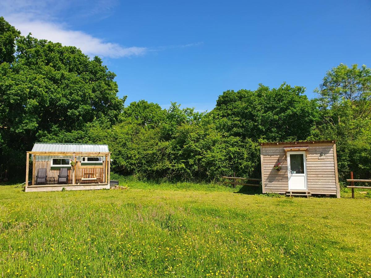 Dartmoor Reach Alpaca Farm Heated Cabins 5 Mins Drive To Dartmoor بوفي تريسي المظهر الخارجي الصورة