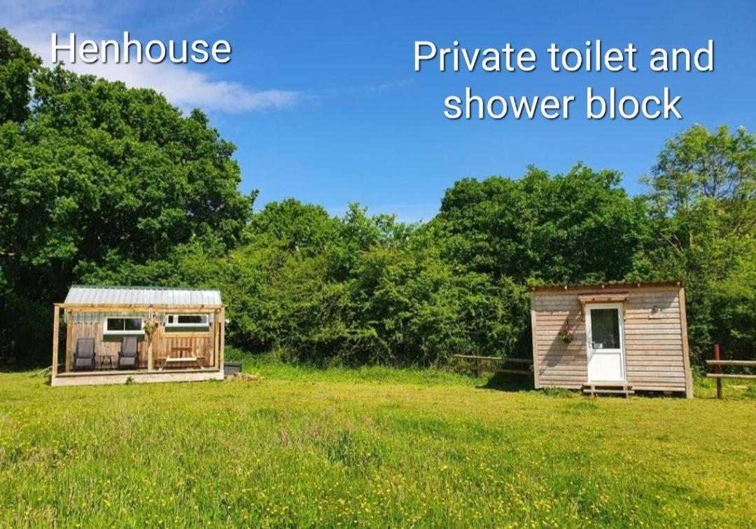 Dartmoor Reach Alpaca Farm Heated Cabins 5 Mins Drive To Dartmoor بوفي تريسي الغرفة الصورة